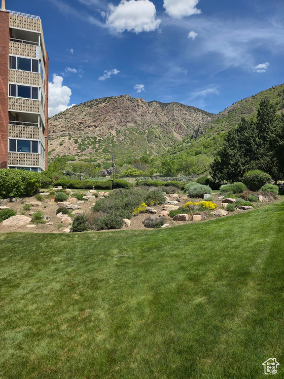 View of mountain background