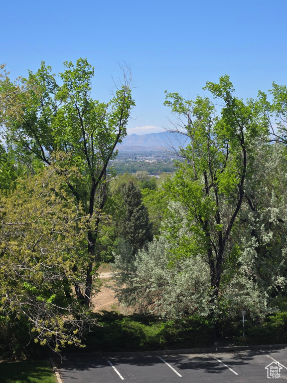 View of mountain background featuring a forest