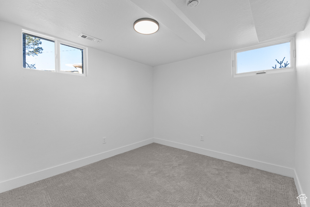Basement featuring carpet