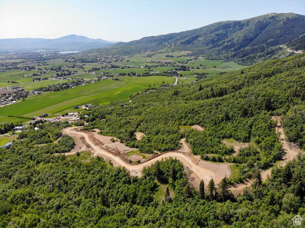 Drone / aerial view of a mountainous background and a heavily wooded area