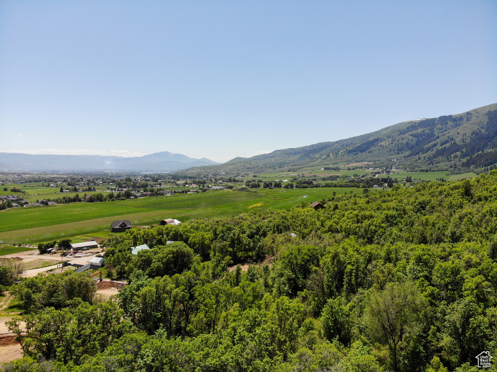 View of mountain background