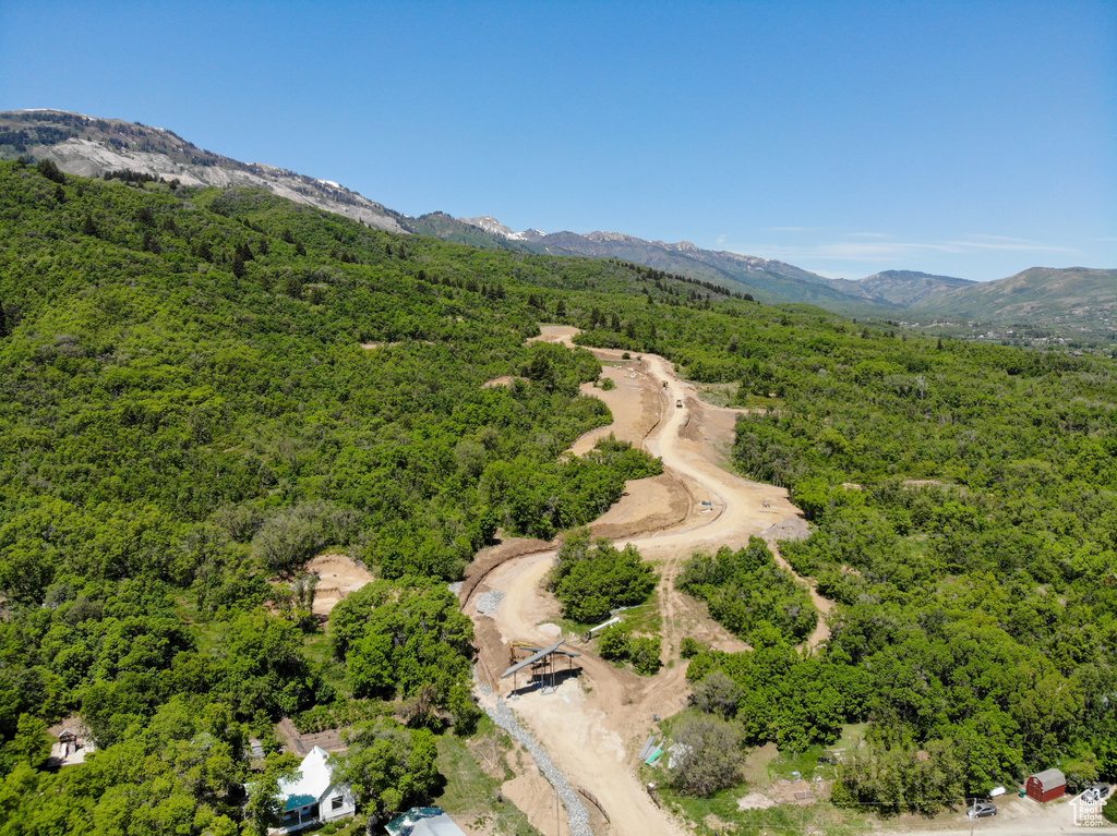 Drone / aerial view of a heavily wooded area and mountains