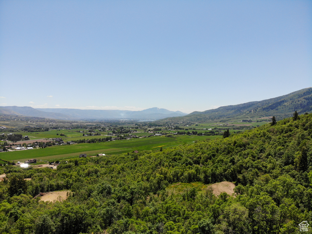 View of mountain background