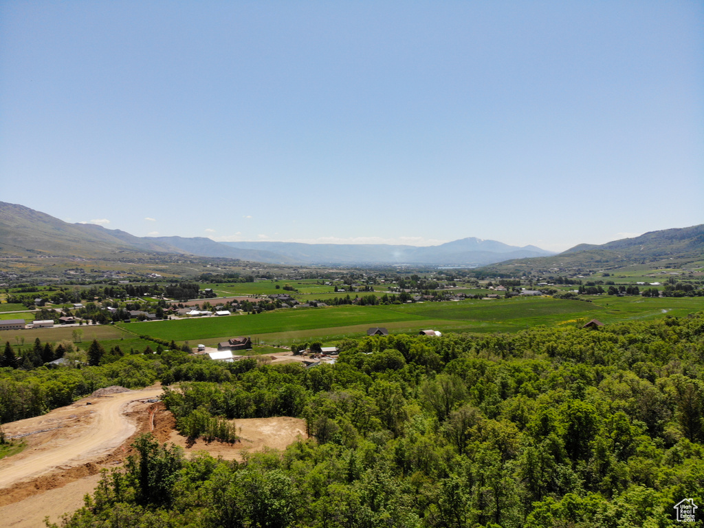 Mountain view
