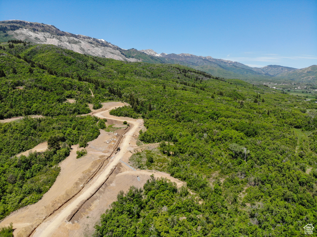 Aerial view of a mountainous background and a heavily wooded area
