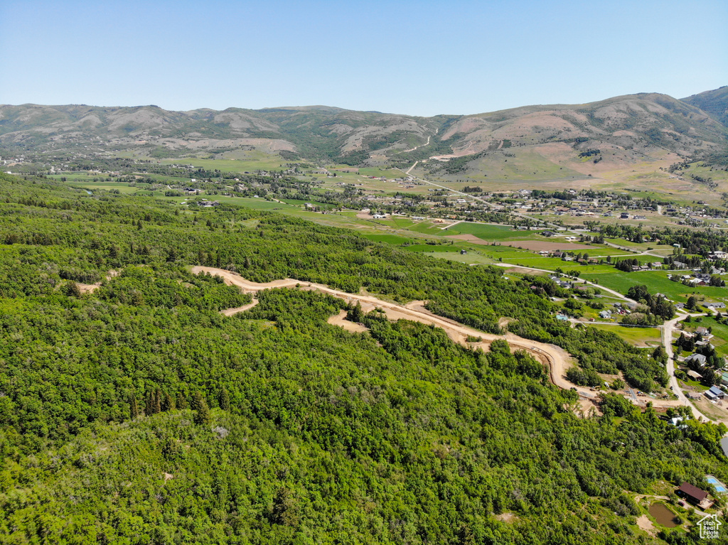 View of mountain background featuring a forest