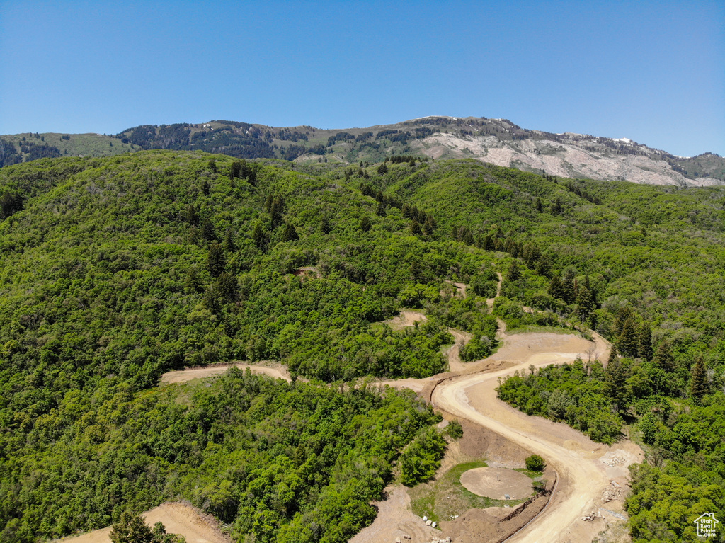 Mountain view featuring a forest