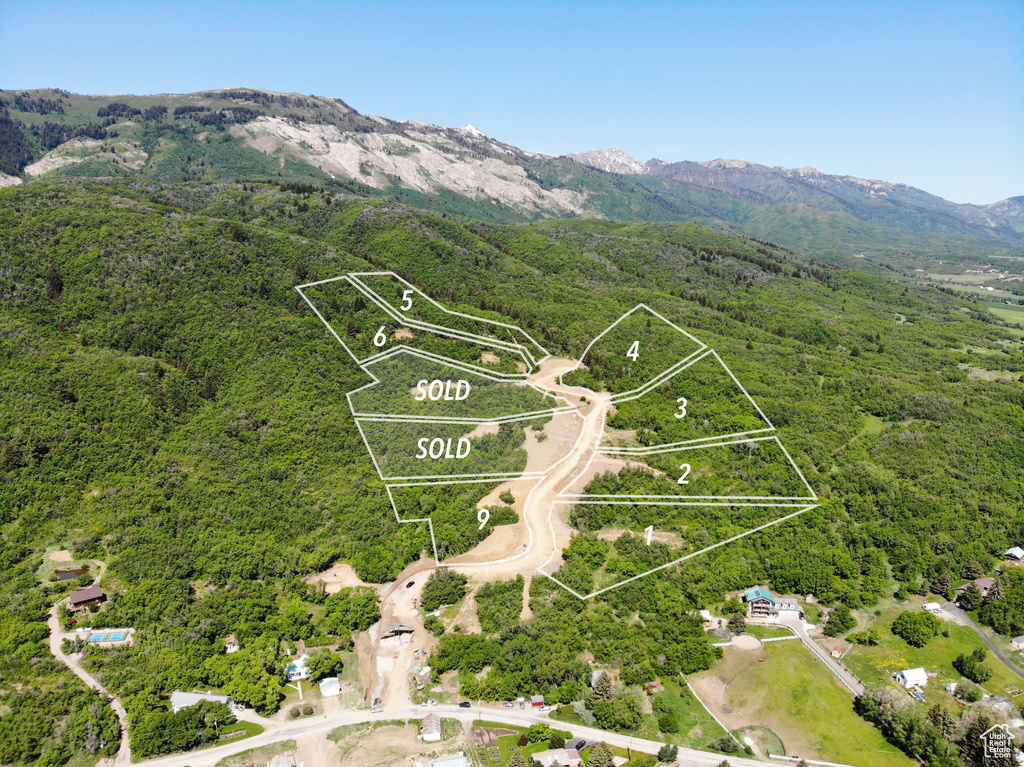 View of property location with property boundaries highlighted, a forest, and a mountain backdrop