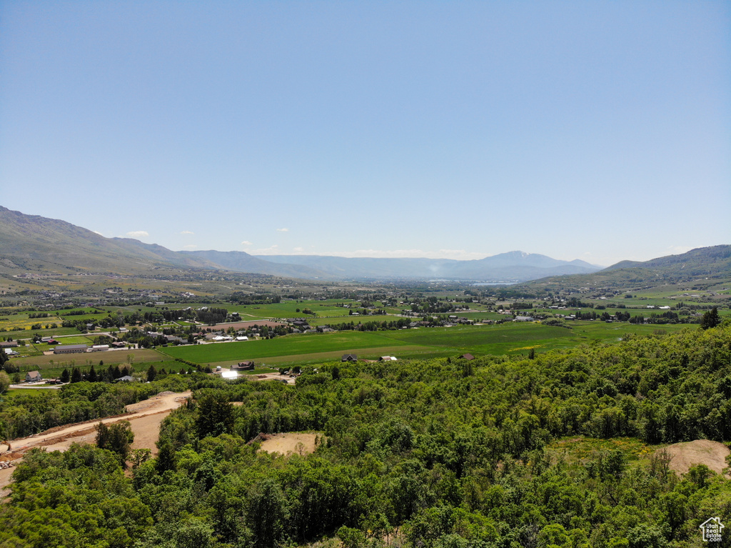 View of mountain background