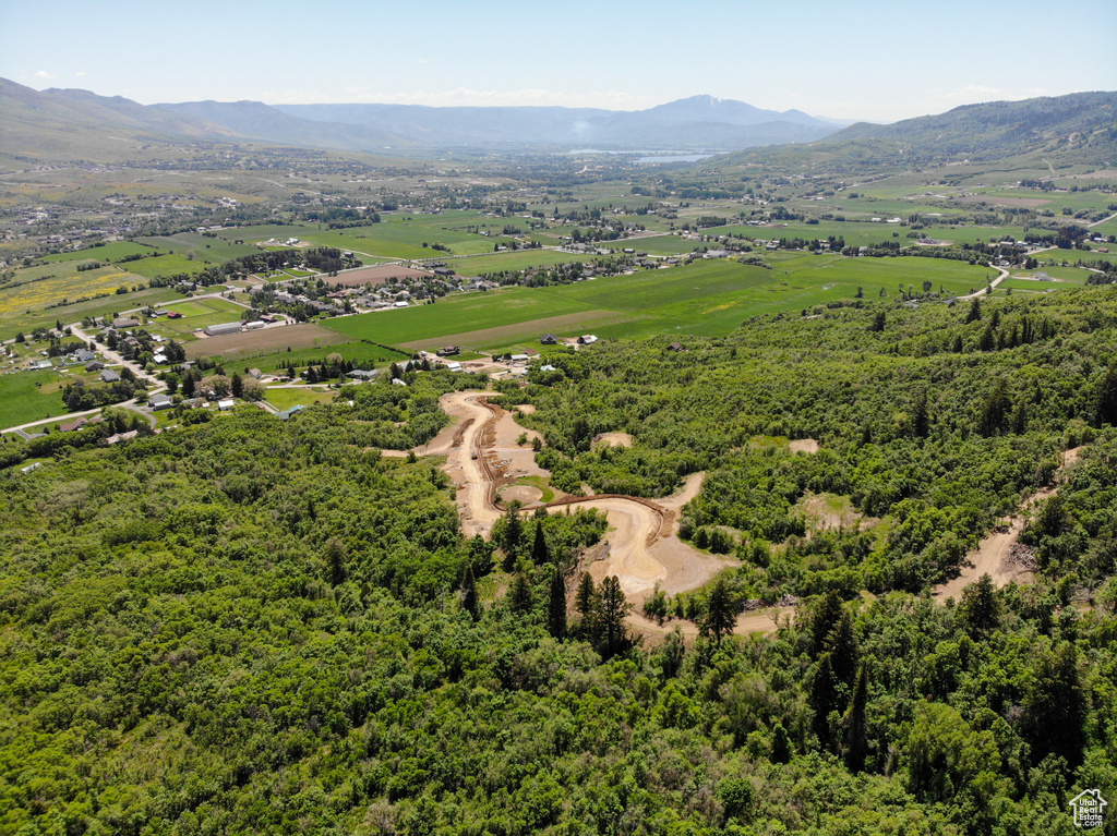 Bird's eye view of a mountainous background
