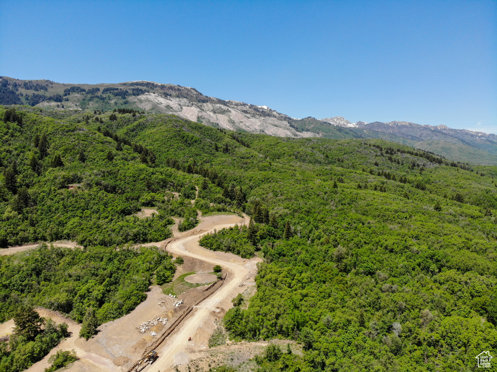 View of mountain backdrop with a forest