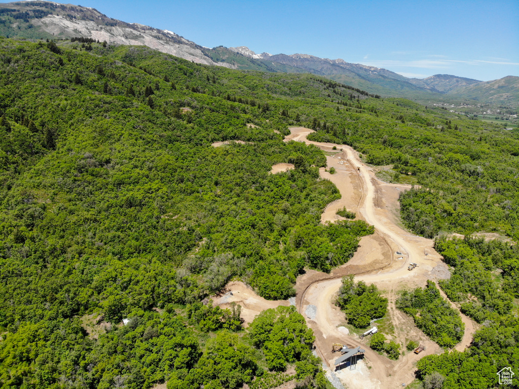 Bird's eye view of a forest and mountains