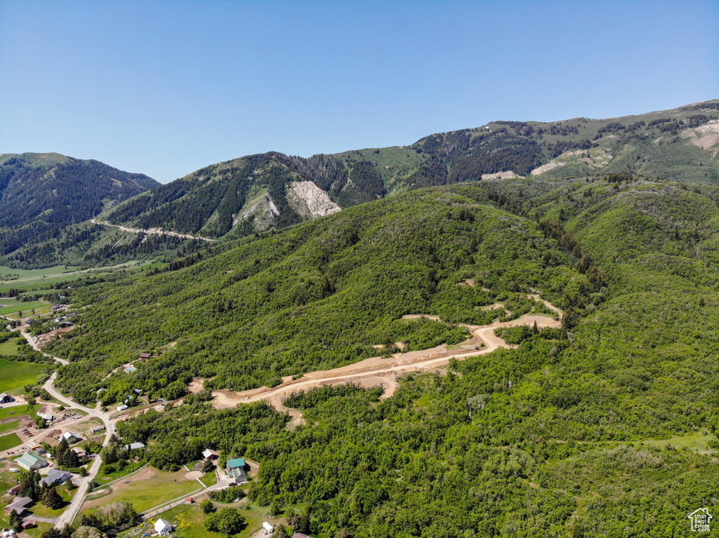 View of mountain background featuring a heavily wooded area