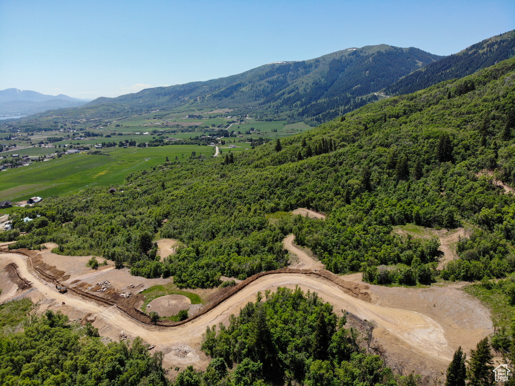 Bird's eye view of a mountain backdrop