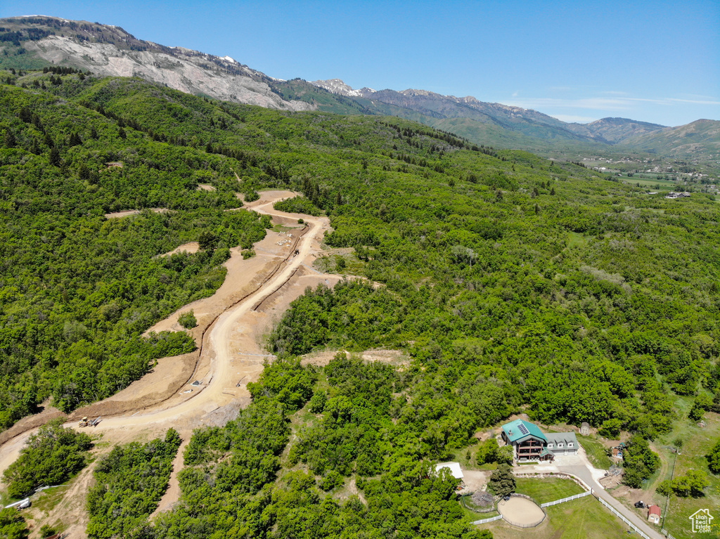 Aerial view of a heavily wooded area and a mountain backdrop