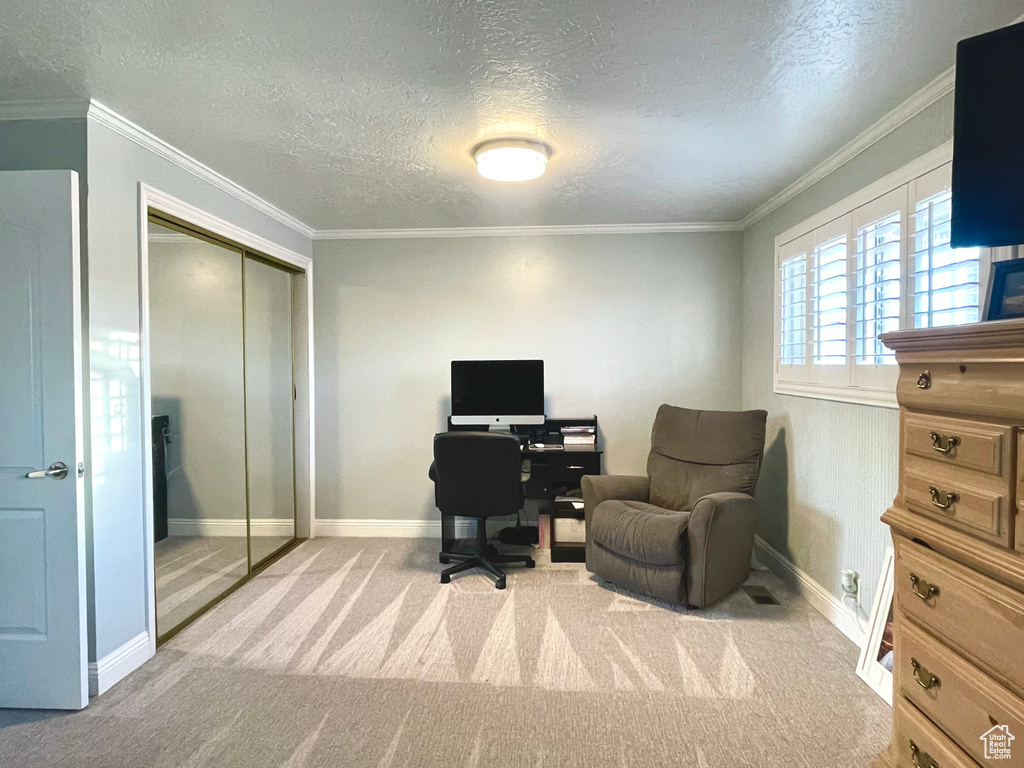 Carpeted office space with ornamental molding and a textured ceiling