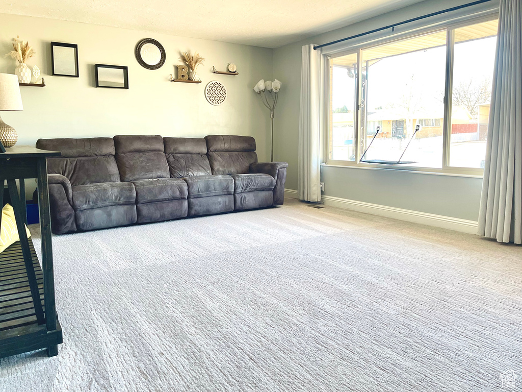 Carpeted living room featuring a healthy amount of sunlight