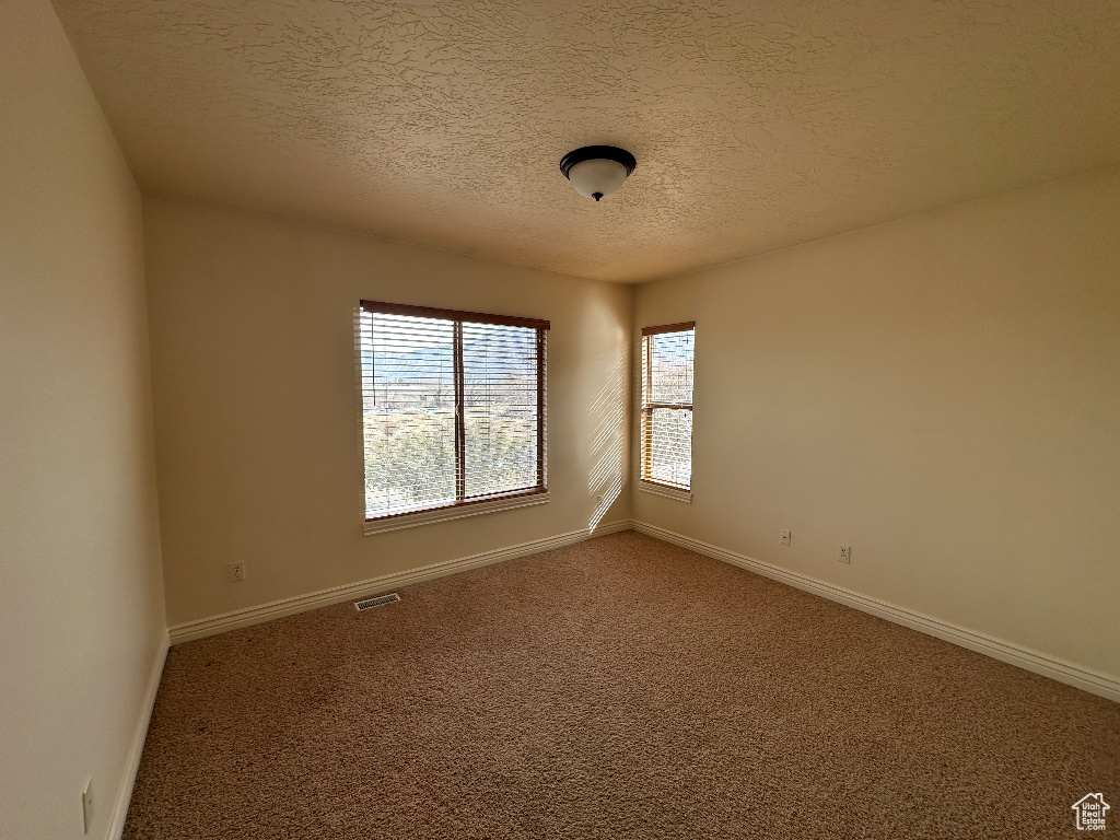 Spare room with carpet and a textured ceiling