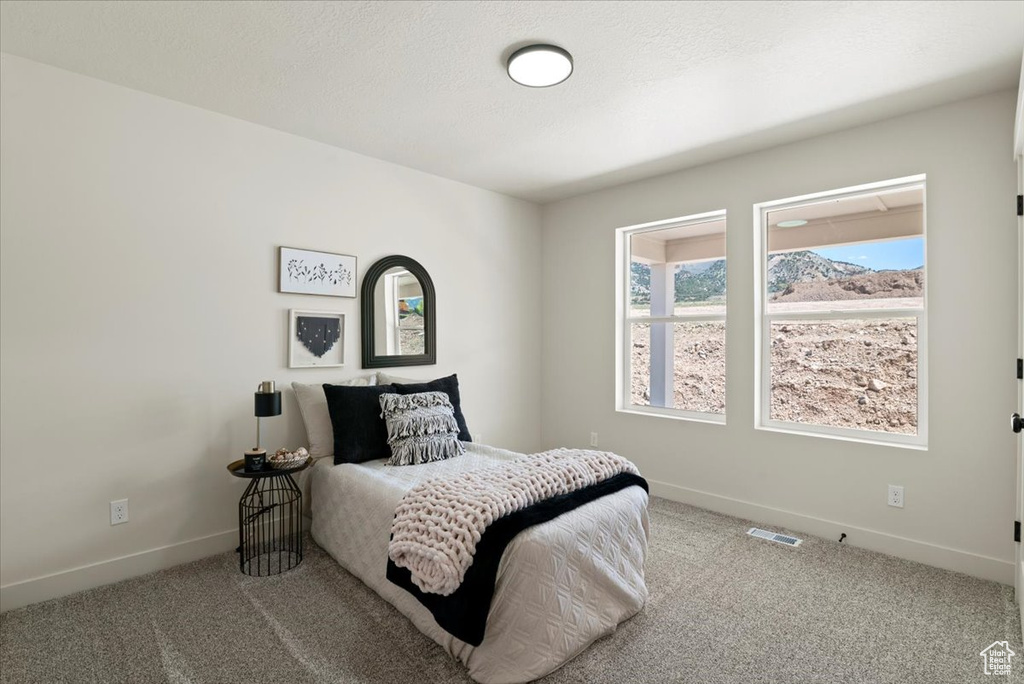 Carpeted bedroom with baseboards and visible vents
