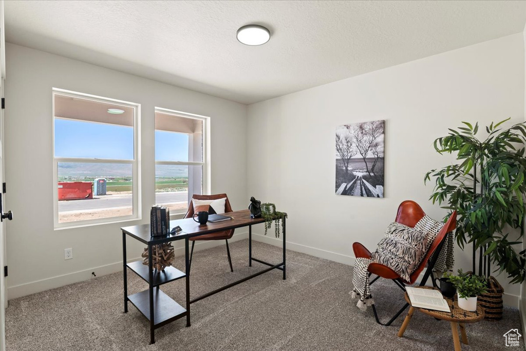 Carpeted office space featuring baseboards