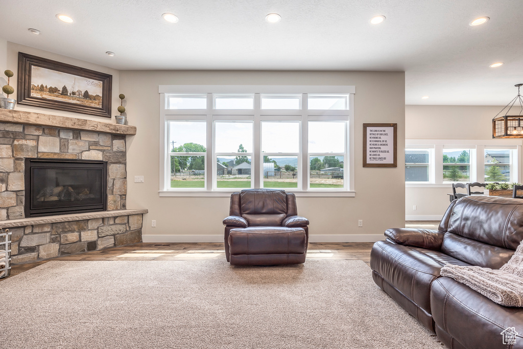 Living room with wood-type flooring, a wealth of natural light, and a fireplace