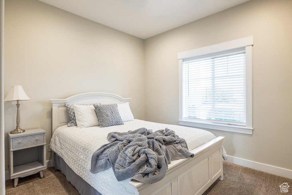 Carpeted bedroom featuring multiple windows