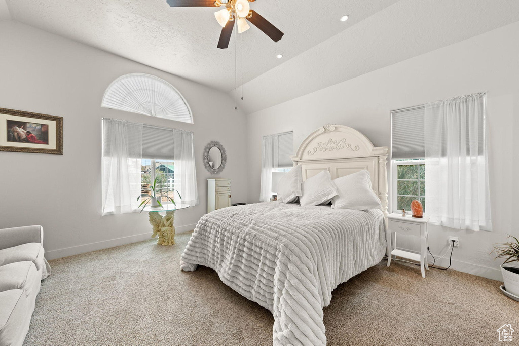 Carpeted bedroom with multiple windows, a textured ceiling, high vaulted ceiling, and ceiling fan