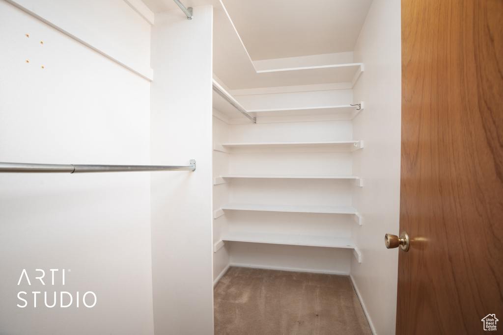 Walk in closet featuring carpet floors