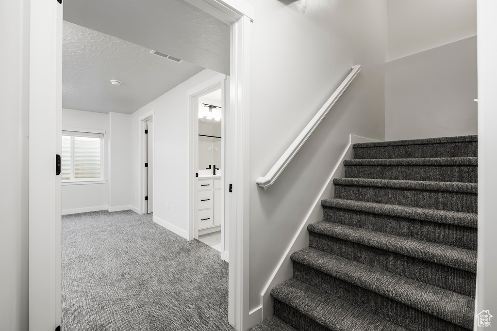 Staircase featuring carpet flooring