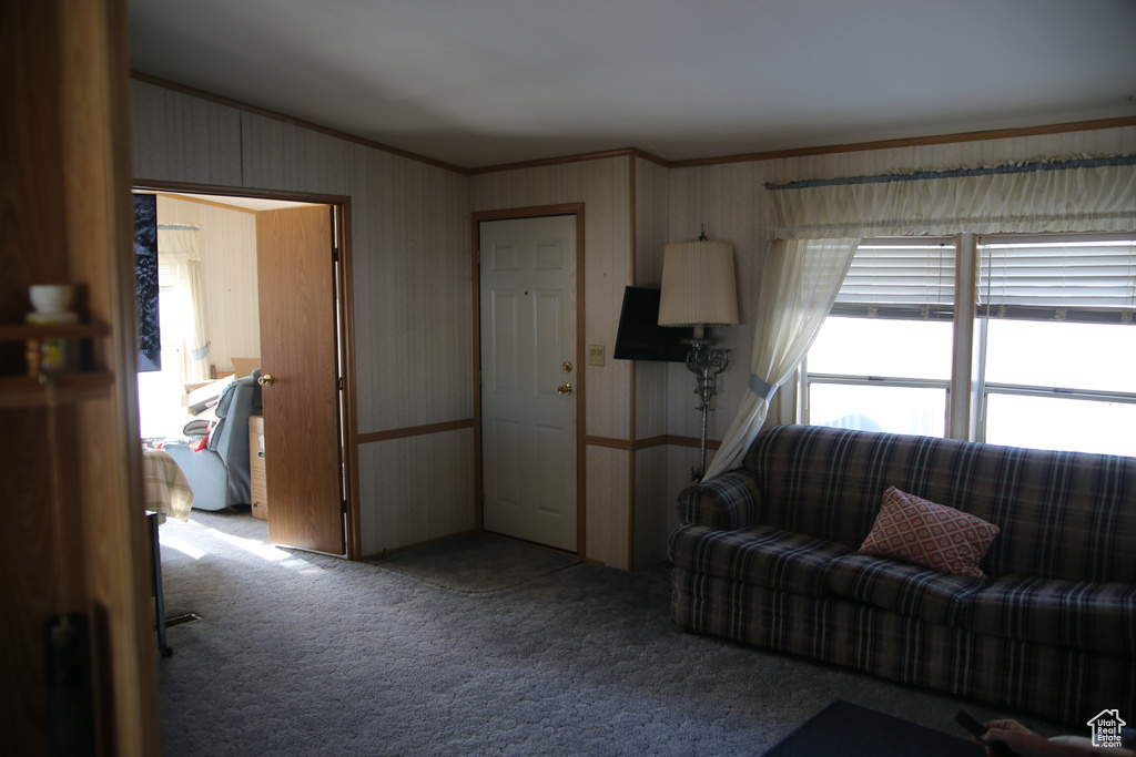 Living room with crown molding, carpet, and wood walls