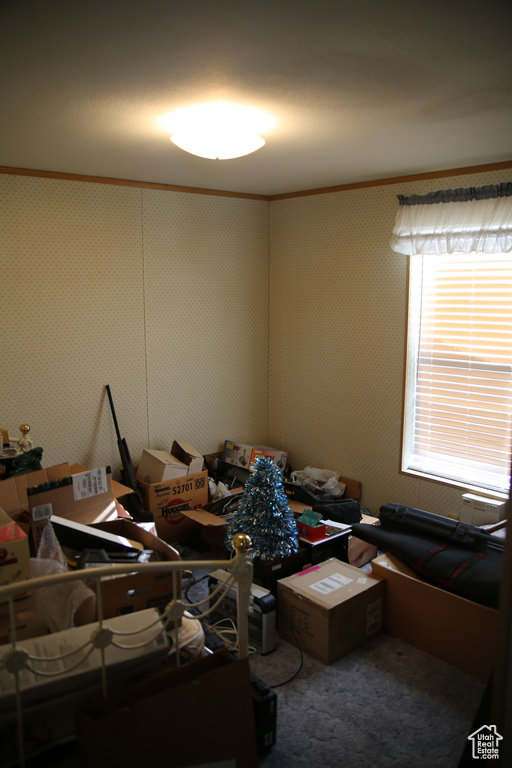 Interior space featuring ornamental molding and carpet