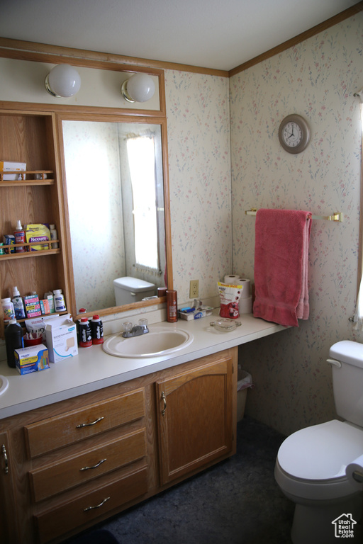 Bathroom featuring vanity and toilet