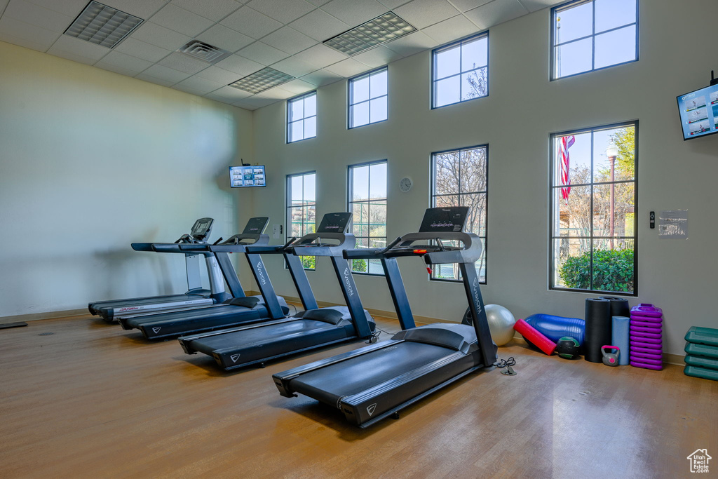 Exercise room with hardwood / wood-style flooring, a paneled ceiling, a high ceiling, and a wealth of natural light