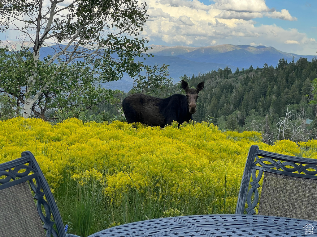 Property view of mountains