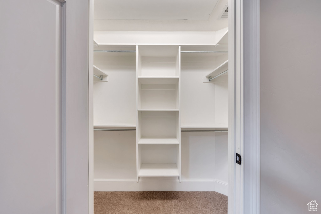 Walk in closet with carpet floors