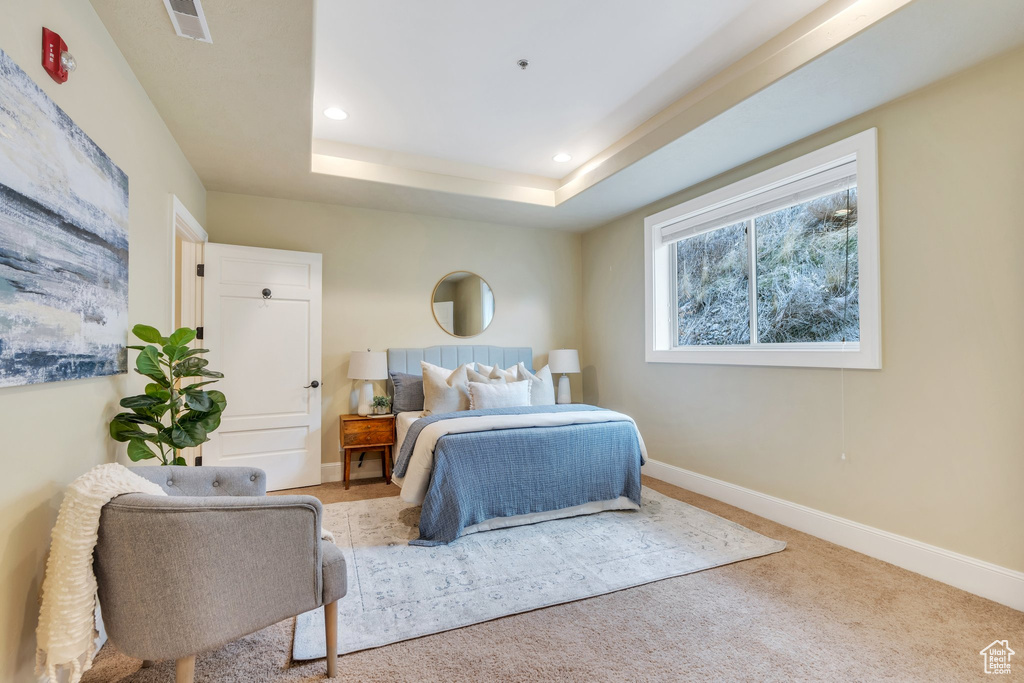 Carpeted bedroom featuring a tray ceiling