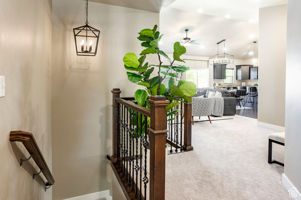 Stairway with a chandelier, carpet flooring, baseboards, a ceiling fan, and vaulted ceiling