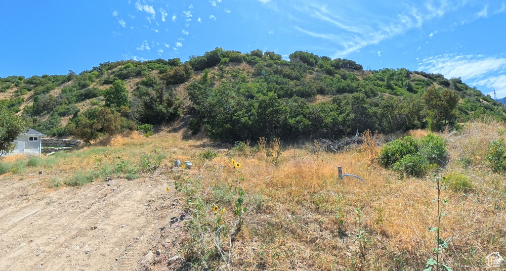 3647 S RIVERSTONE RD Mapleton, UT 84664