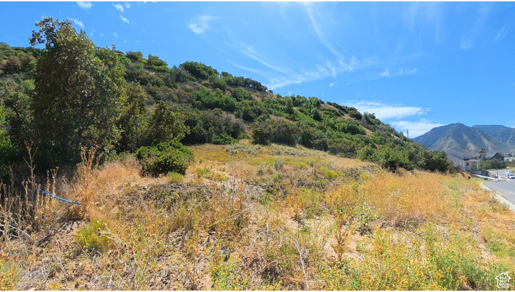 3635 S RIVERSTONE RD Mapleton, UT 84664