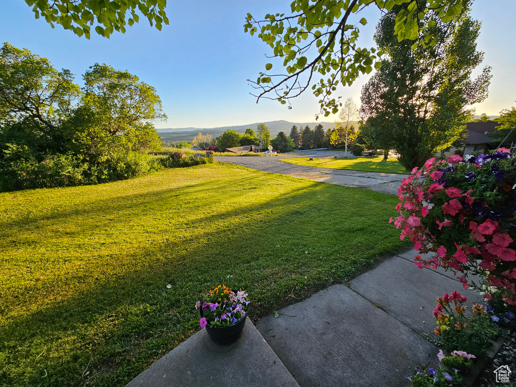 Yard at dusk with a mountain view