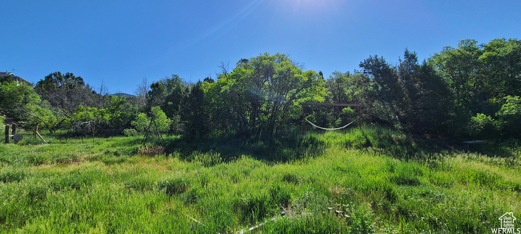 View of nature