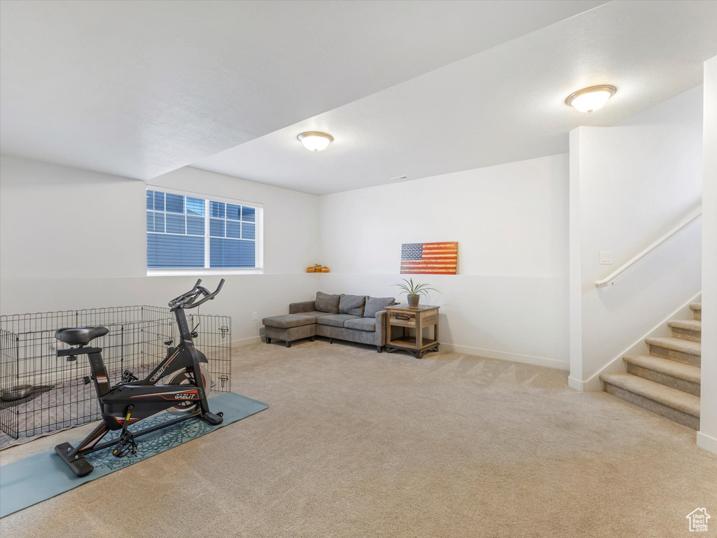 Exercise area featuring carpet flooring