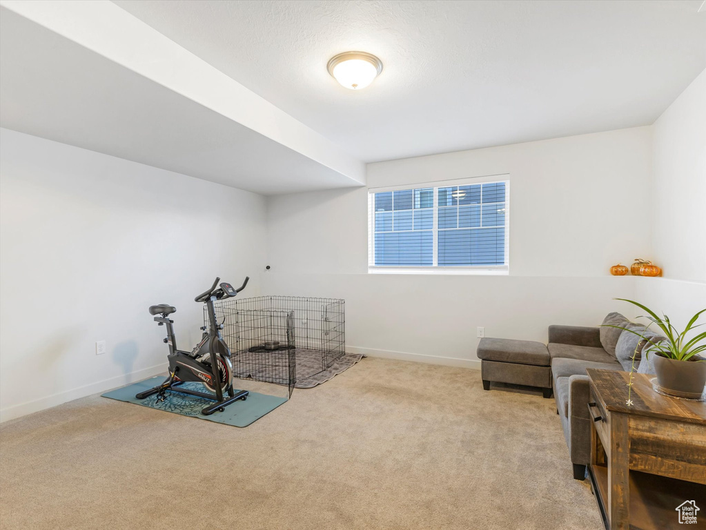 Exercise area with light colored carpet