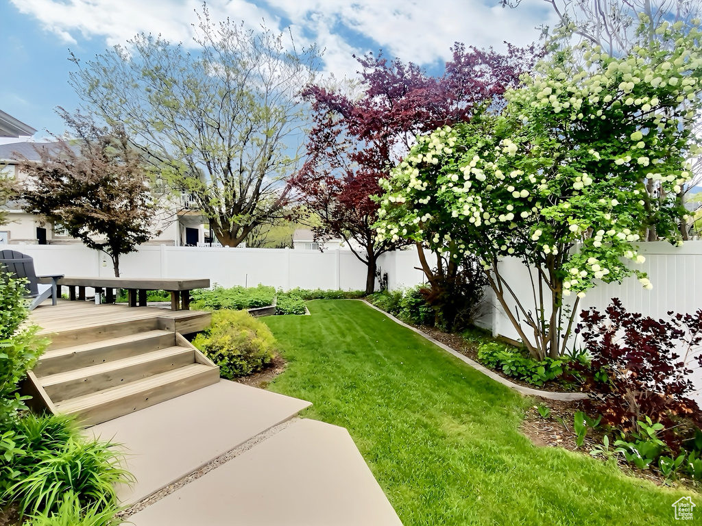 View of yard featuring a deck