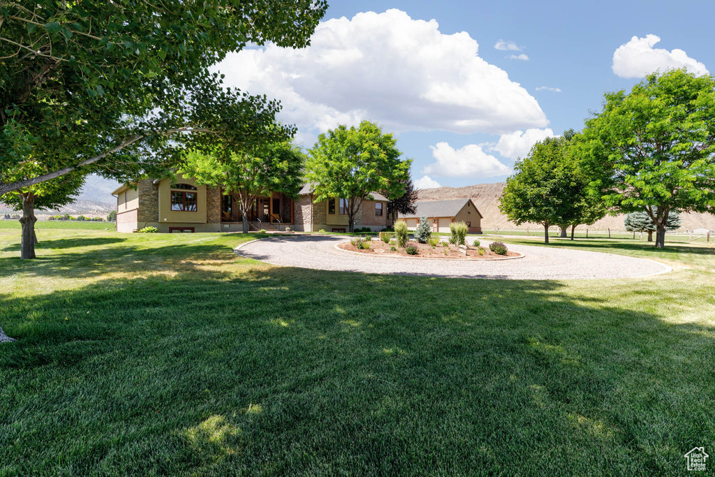 View of green lawn