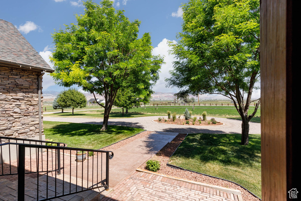 View of green lawn