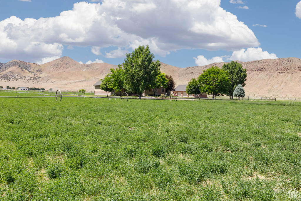 View of yard with a rural view and a mountain view