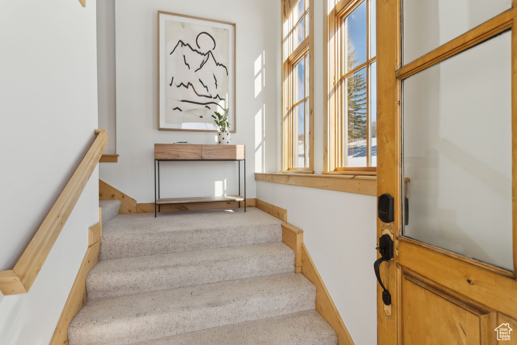 Stairway featuring carpet flooring