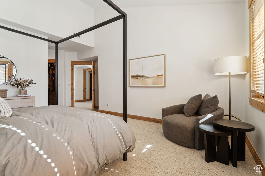 Bedroom with a closet, carpet, and a walk in closet