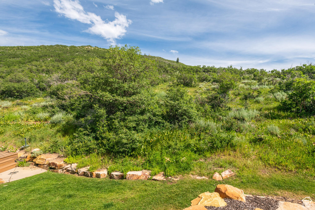 View of local wilderness